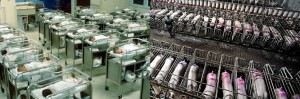 Human Babies Like Piglets Factory Farm