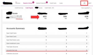 Credit Report Fix Example Before