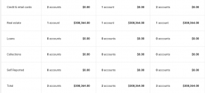 ZEROED OUT Debt