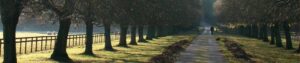 path 1
