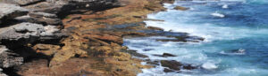shore 1
